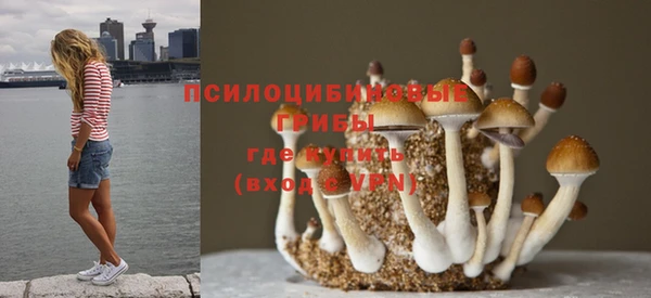 синтетический гашиш Слюдянка